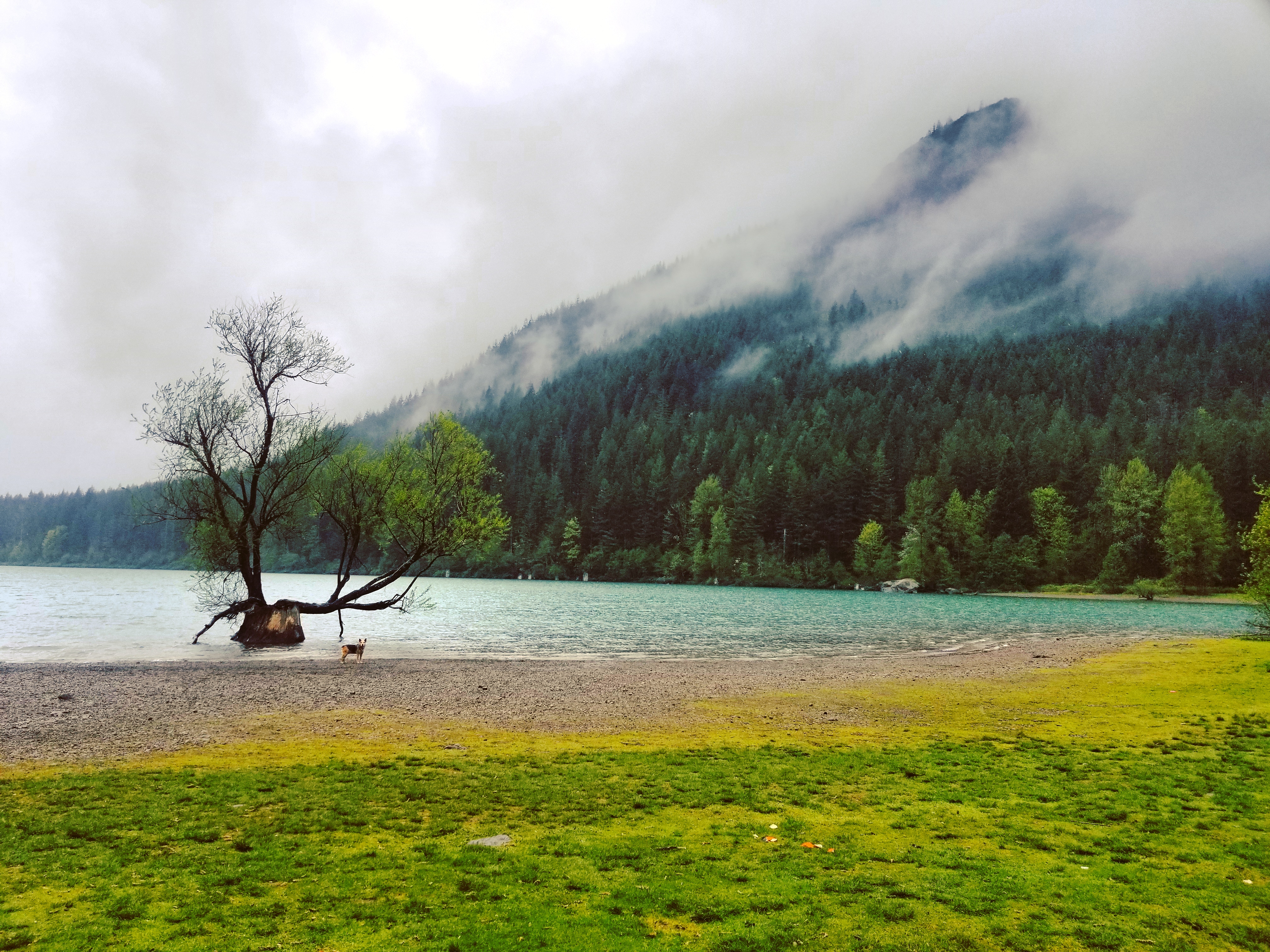 IMG_20180428_170832_996